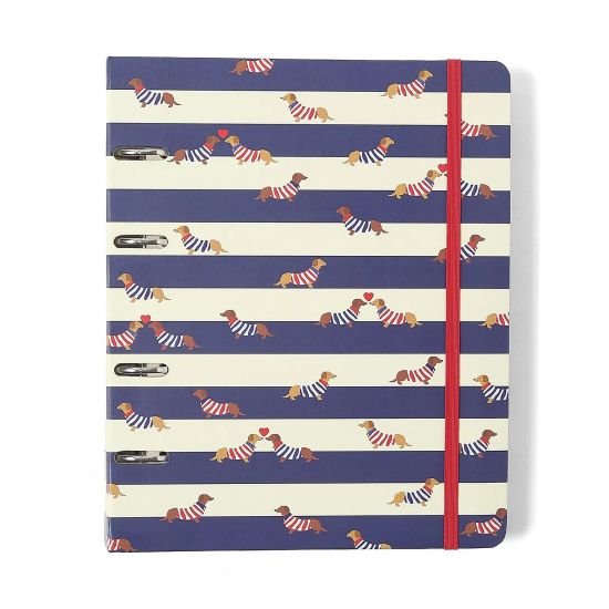 CADERNO CRIATIVO ARGOLADO PRAIA PAUTADO 17X24 CACHORROS