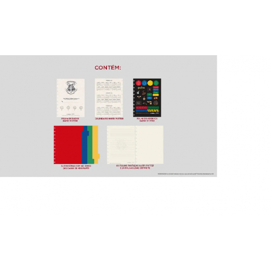 CADERNO INTELIGENTE HARRY POTTER GD CADERNO INTELIGENTE HARRY POTTER GD