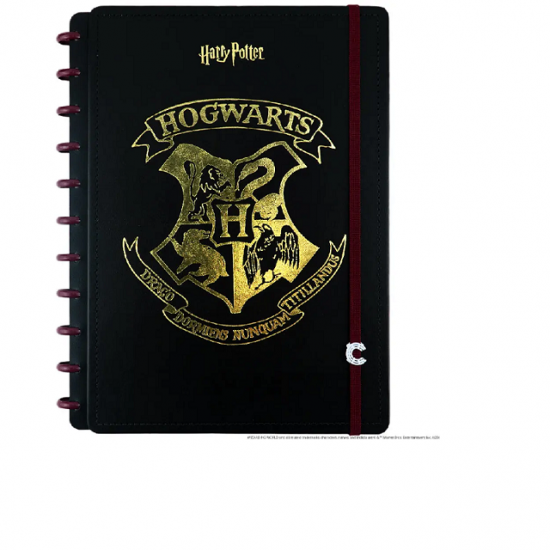 CADERNO INTELIGENTE HARRY POTTER GD CADERNO INTELIGENTE HARRY POTTER GD