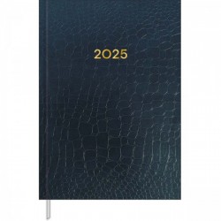 AGENDA COST CROCO M6