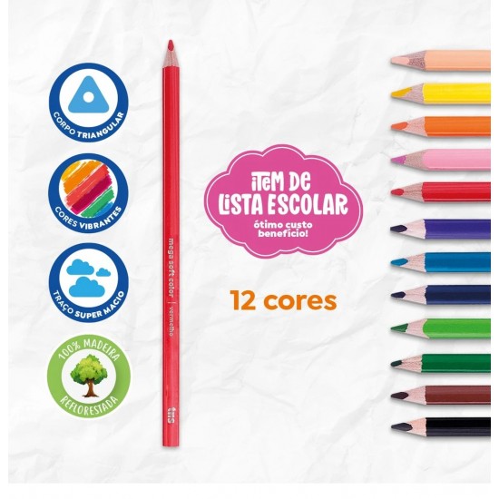 LAPIS DE COR MEGA SOFT C/12 CORES