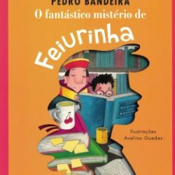 O FANTASTICO MISTERIO DE FEIURINHA