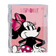 FICHARIO UNIV MICKEY/MINIE DAC FICHARIO UNIV MICKEY/MINIE DAC