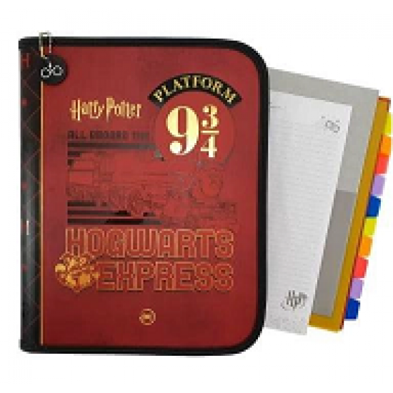 FICHARIO HARRY POTTER 3823