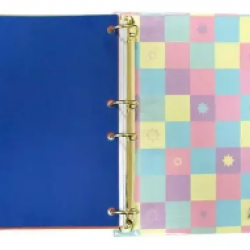 FICHARIO ENJOY COLEGIAL 4163 DAC